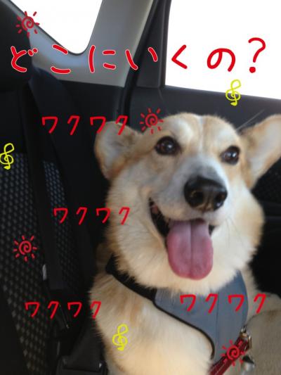 どこいくの?2