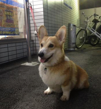 ローソンで