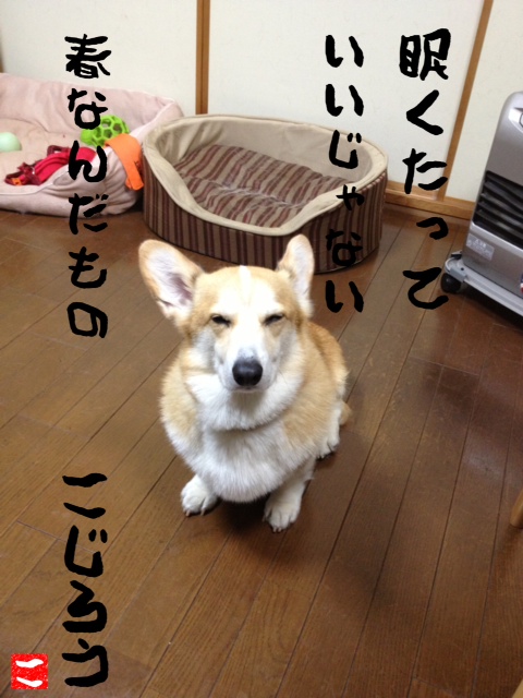 眠い