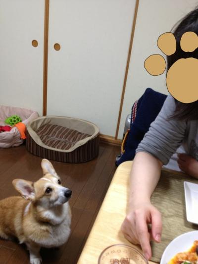 母
