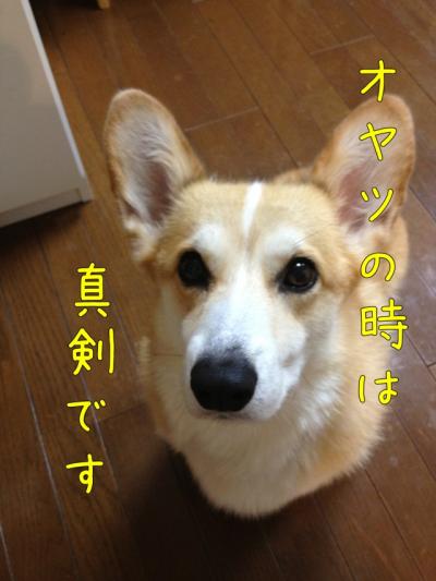 ayatuha.jpg