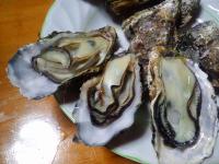 寄島牡蠣蒸し焼き写真