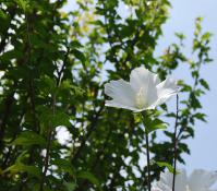 DSC_0039.jpg