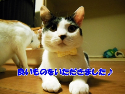 バレンタイン2