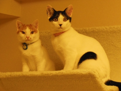 DSCN3534.jpg