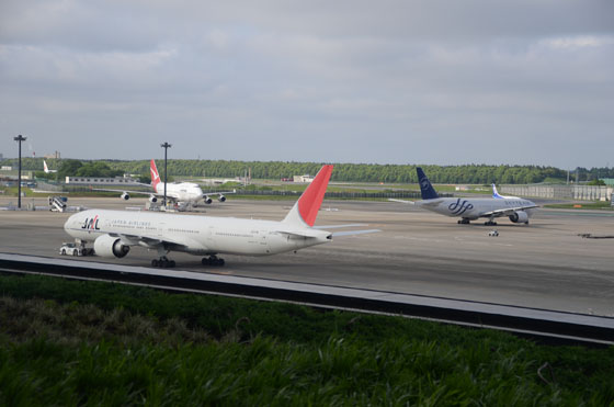 DSC_2936.jpg