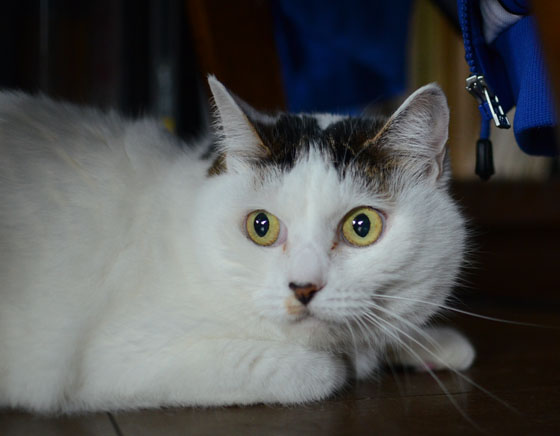 DSC_4710.jpg