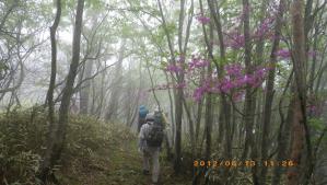 IMGP2008.jpg