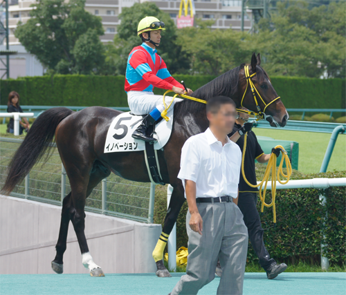 馬風呂 ゴールデンヒーローの雄姿 ではなく一緒に走った馬２