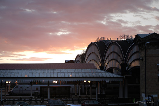 20120619_31.jpg