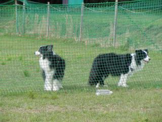 DSCN3327_convert_20120520155058.jpg