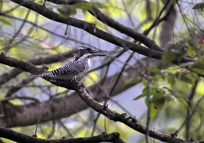 20120813-female-001.jpg
