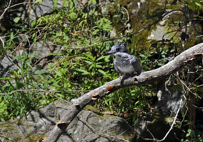 20120831-1105-009.jpg