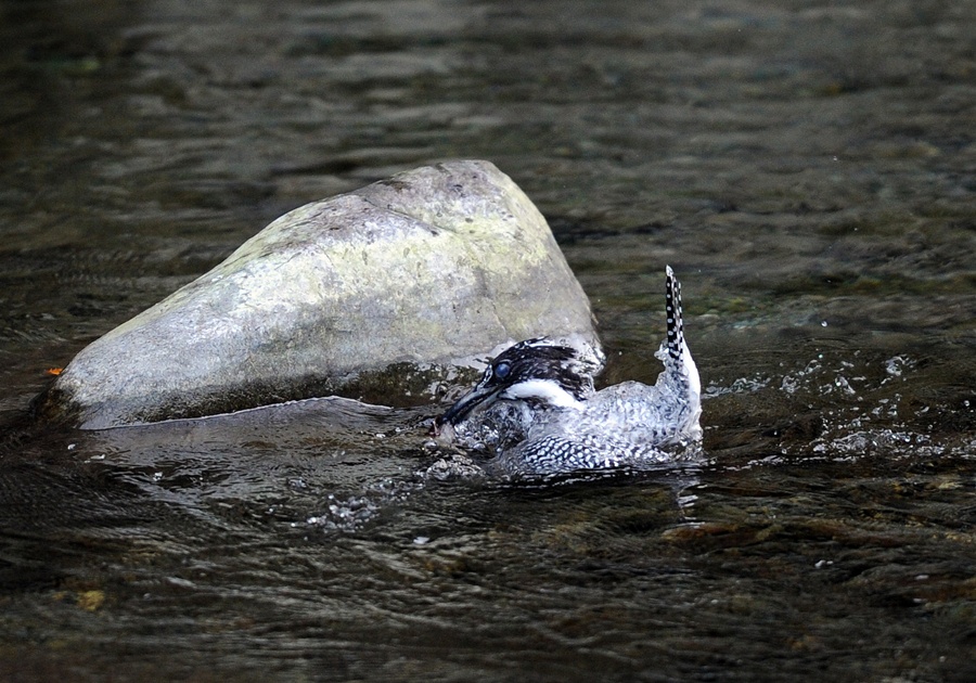20120924-D3s-04.jpg