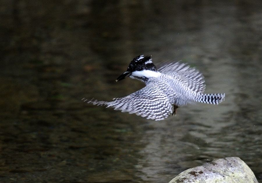 20120924-D3s-08.jpg