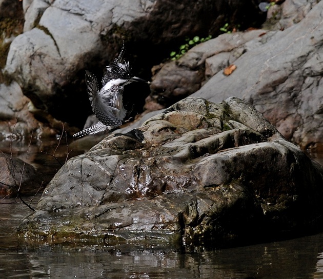 20120930-1105-05.jpg