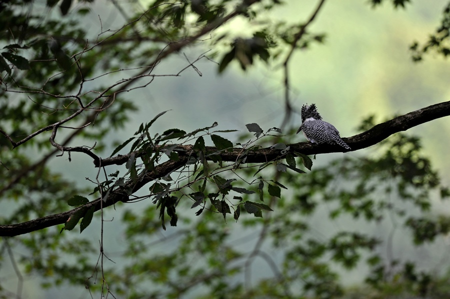 20121002-x-05.jpg