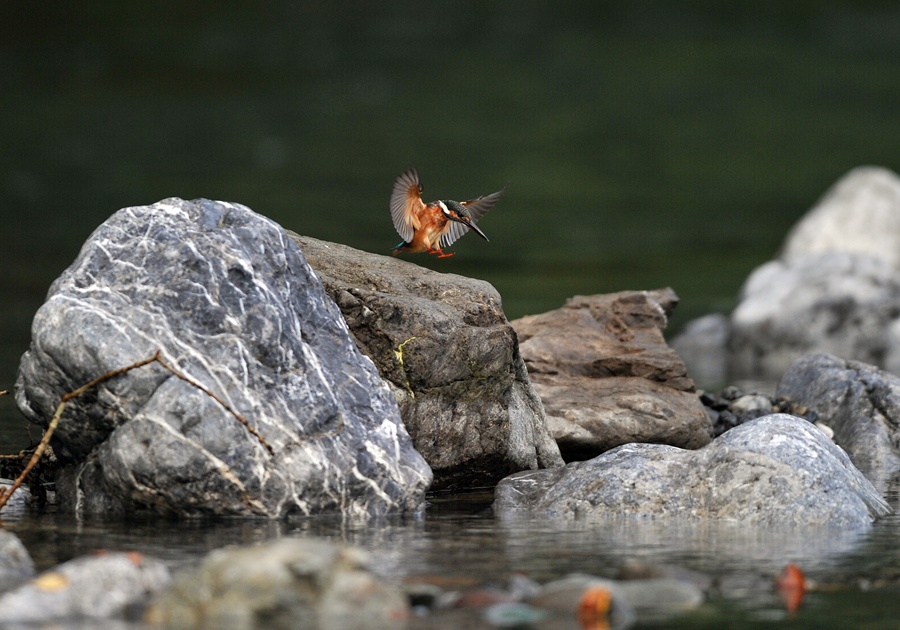 20121011-KW-01.jpg