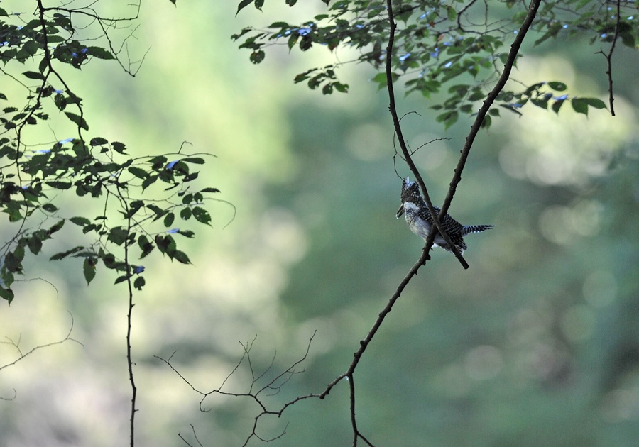 20121012-eda-06.jpg