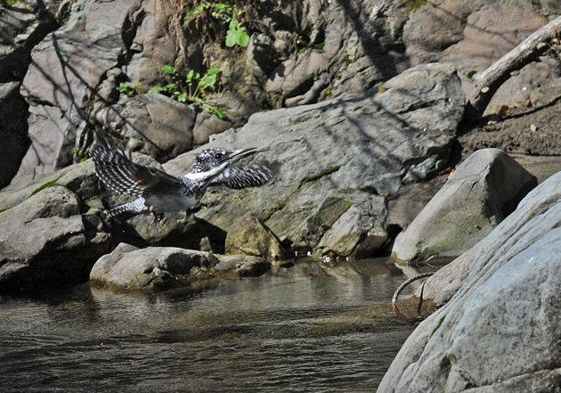 20121107-abi-03.jpg