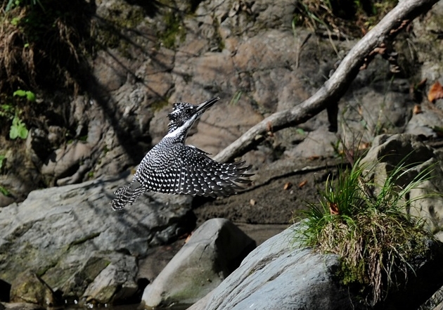 20121107-abi-05.jpg