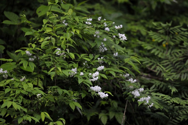 28J3-20120519-001.jpg