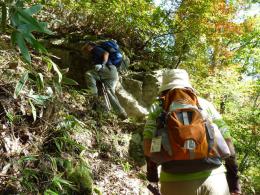 10:30 登山道 石の段差がきつい!!