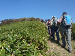 これからが紅葉 トンネル登山道