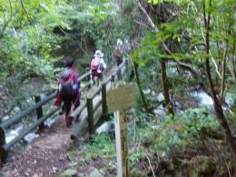 川音は次第に強くなり滝も見られる下山道の渡り橋