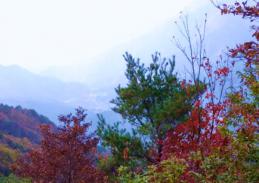 登山道 数少ない展望地から