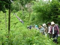 6月43名の参加で大登山行列