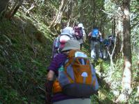 登山口 直ぐから急登 細い道が続く