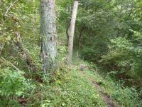9_9_09_20120920203545.jpg