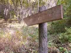 P1000137R.jpg