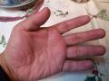 20121223.jpg