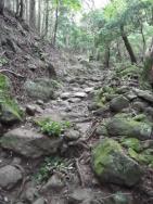 上り始め