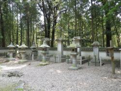 IMGP2750.jpg