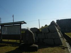 IMGP4499.jpg