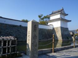IMGP4518.jpg