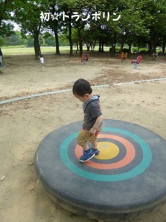 009_20120513095000.jpg