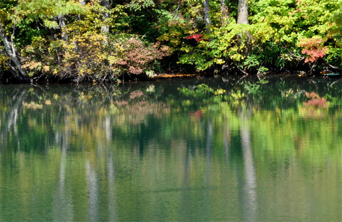 21011-07.jpg