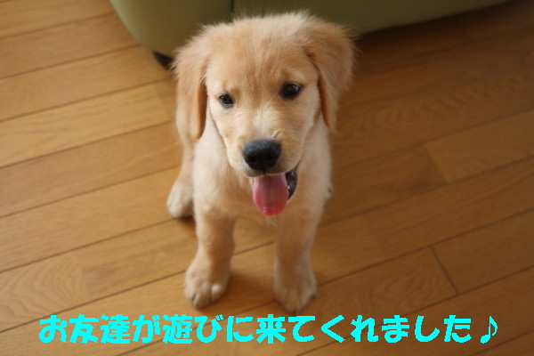 bu-97970001.jpg