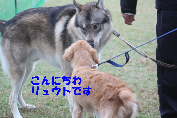 bu-98940001.jpg