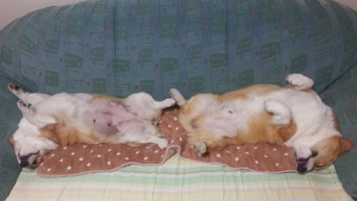 20130211_203911.jpg