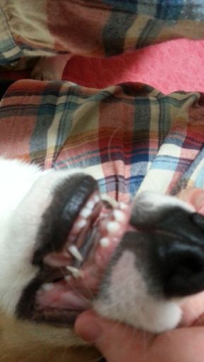20130213_185342.jpg