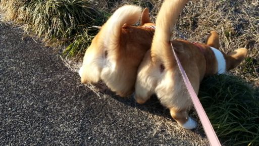 20130223_162529.jpg