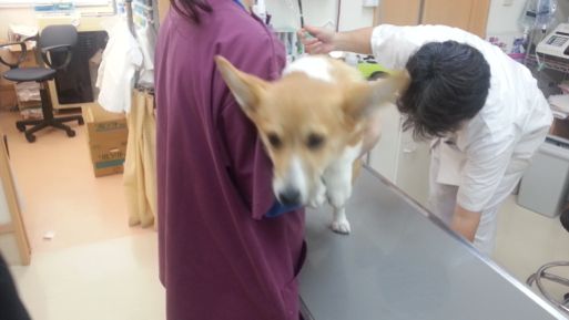 20130224_095711.jpg