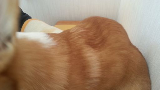 20130224_100310.jpg