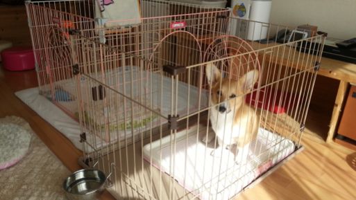 20130224_132107.jpg