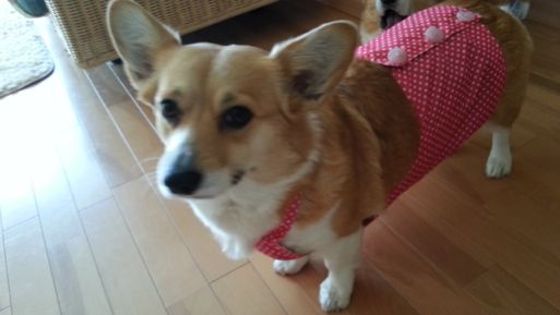 20130227_154319.jpg
